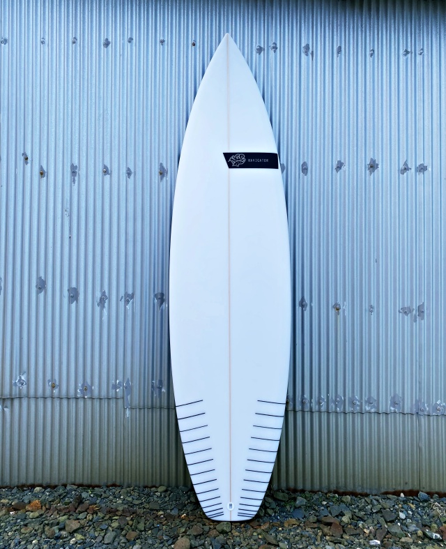 NGR_ACE-X