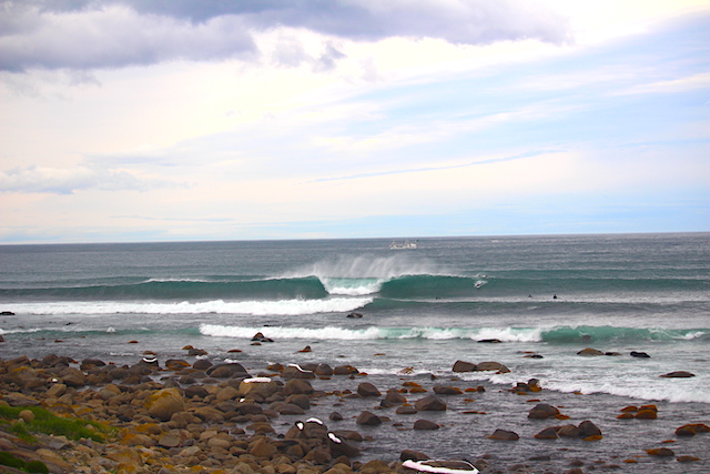 octasurfshop
